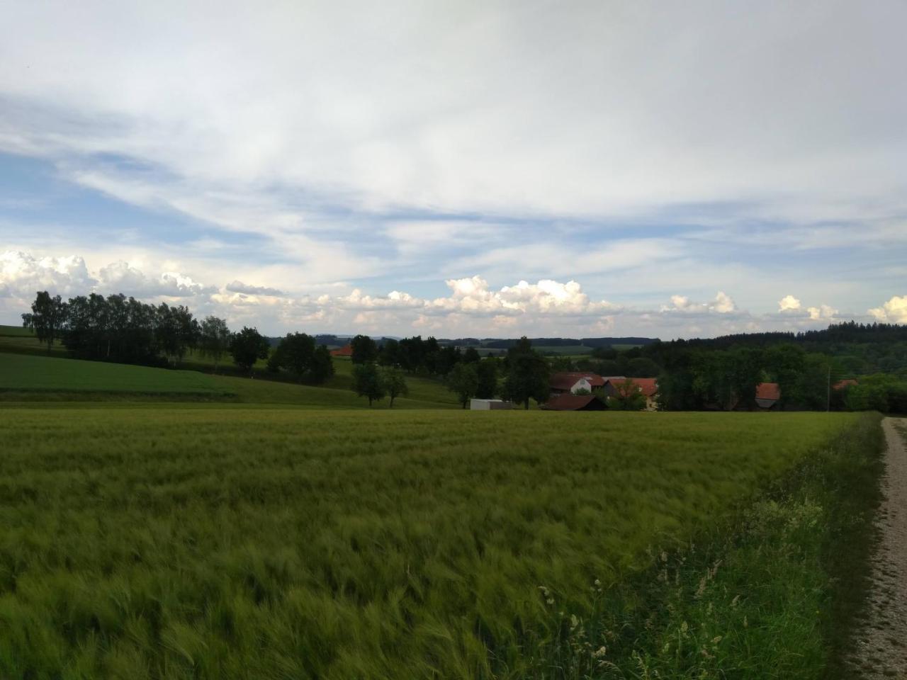 Gasthaus Schachinger Tumeltsham Exterior photo